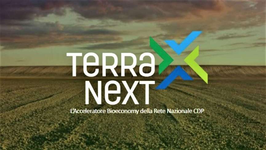 Terra Next