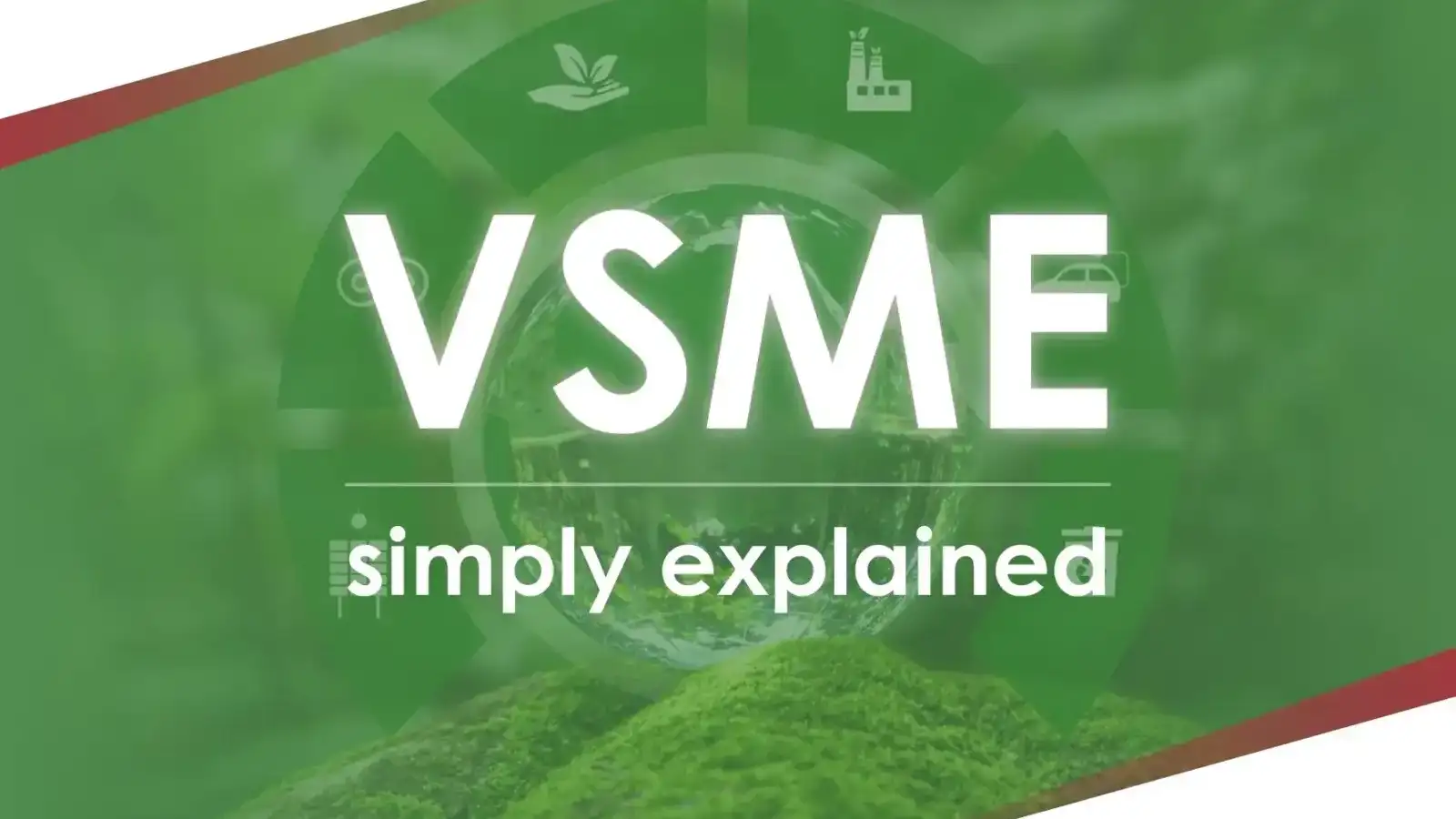 VSME_en