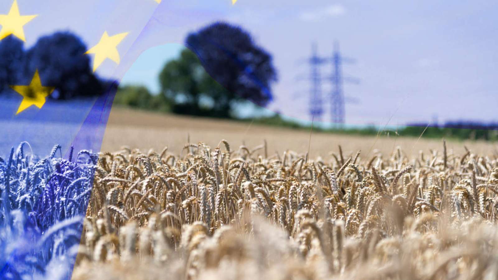 Flagge der Europäischen Union EU und die Landwirtschaft in Europa