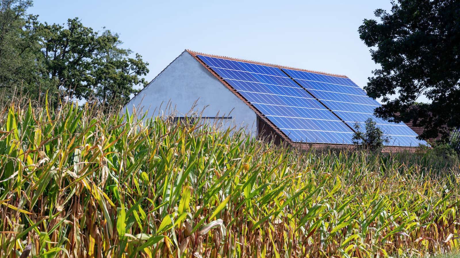 fotovoltaico-energie-rinnovabili-pannelli-solari