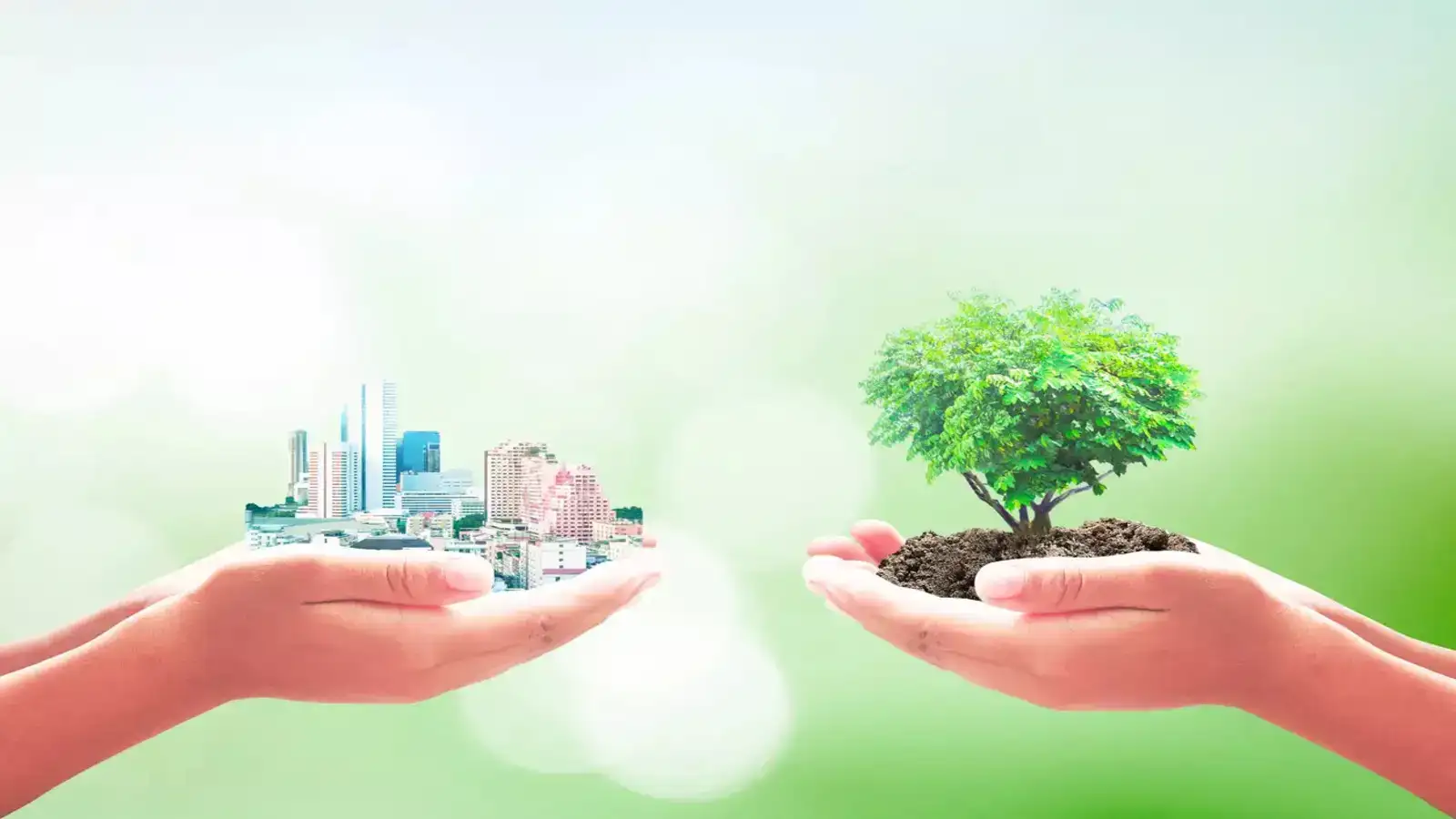 green-investing-how-indian-investors-can-drive-real-change-on-world-environment-day
